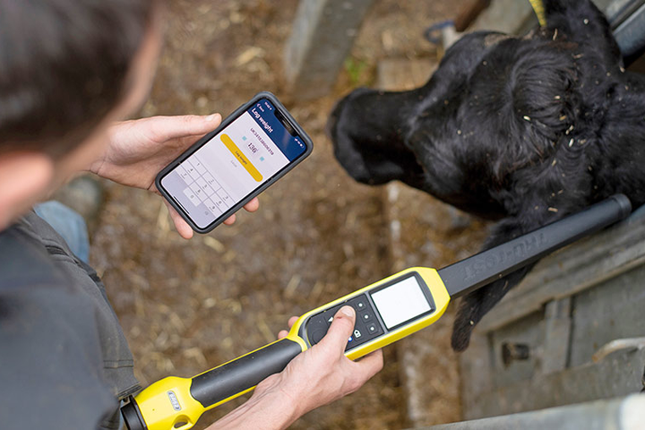 Breedr Raises €23M for Livestock Data