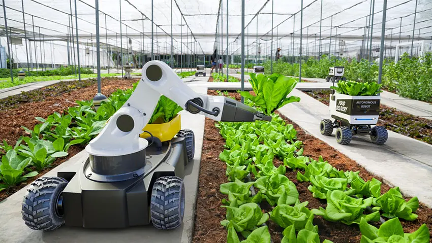 Dogtooth secures £14M for harvesting robots