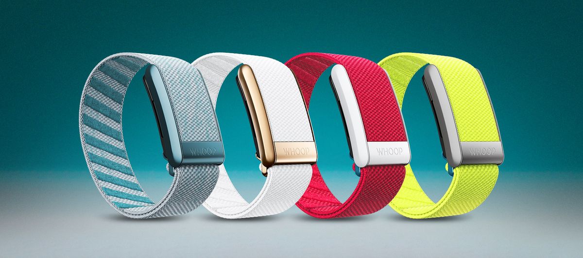 Four WHOOP fitness bands in different colors arranged in a row