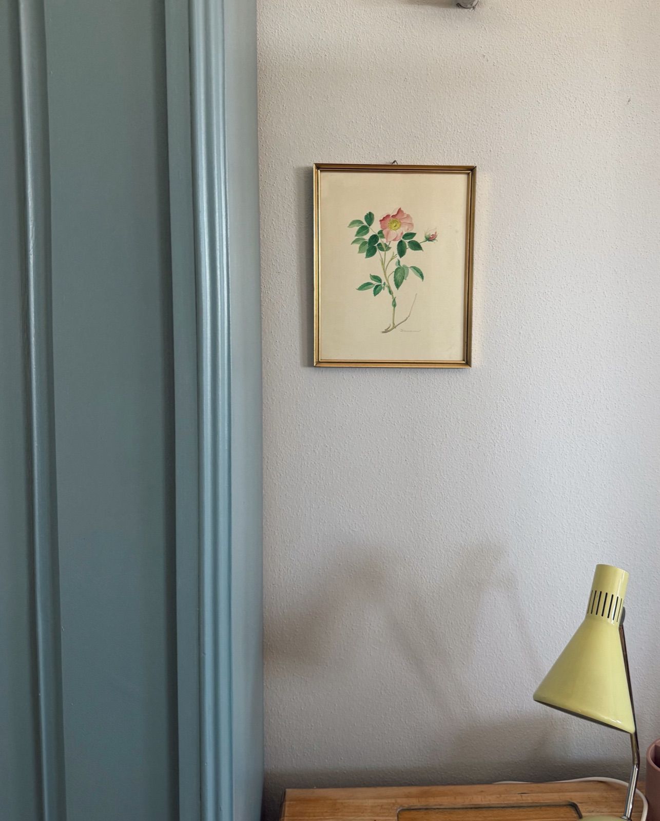 Bild Blume Rose, Ansicht 2