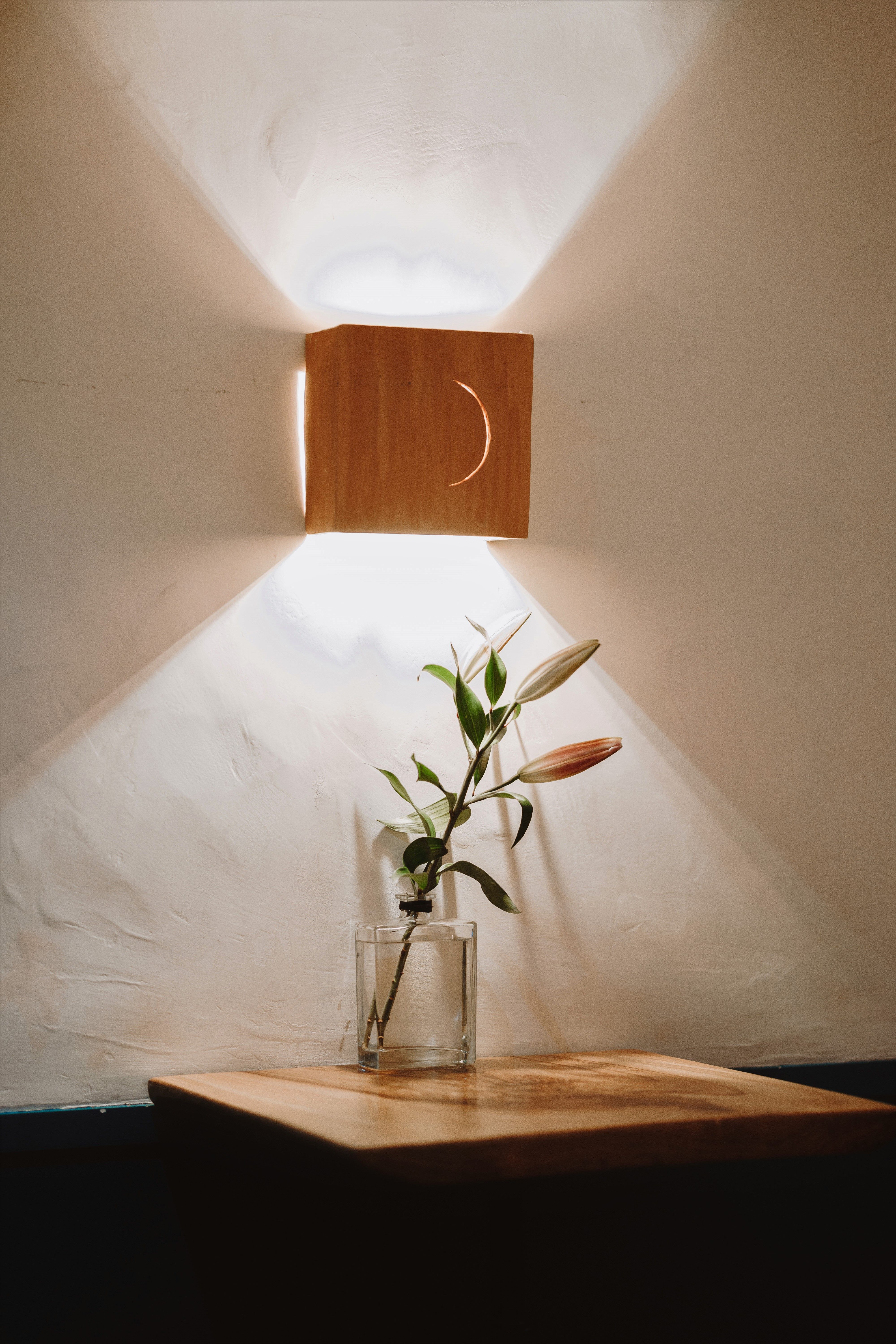 Light and plant on table | Studio Hiller