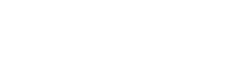 Illusive Networks
