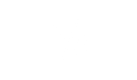 doubleAI