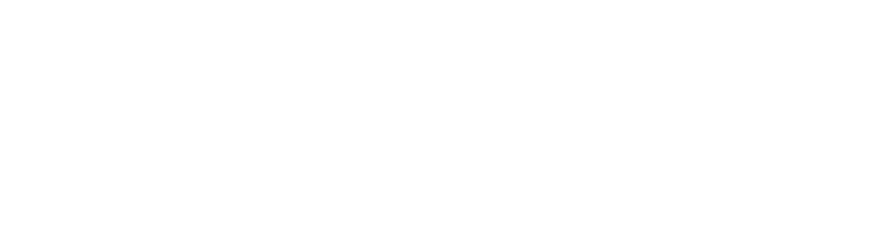 ChipAgents