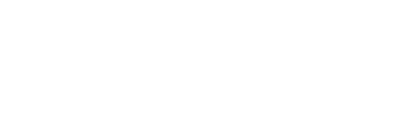Litify