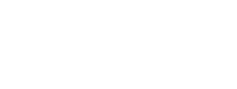 Intego