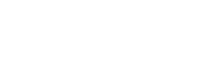 DriveNets