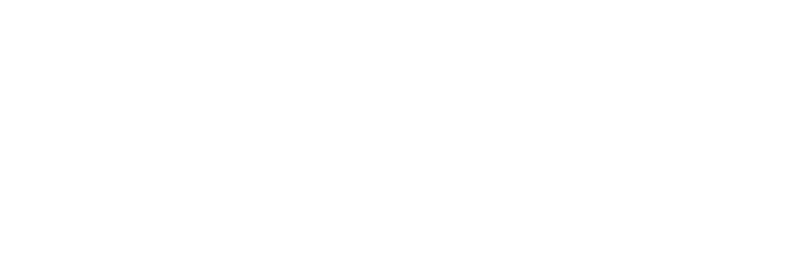 Netography