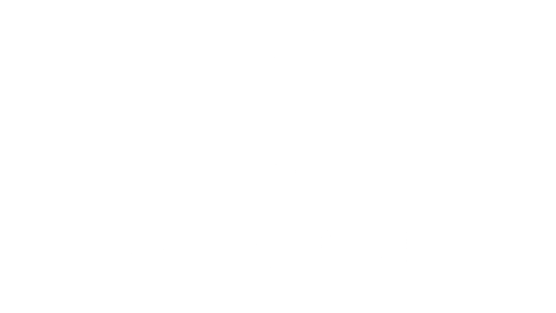 Smashfly