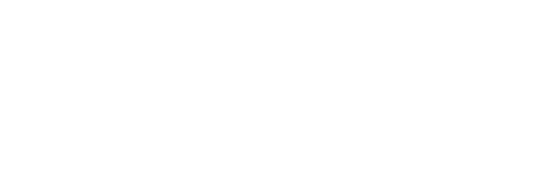 Traffix