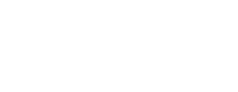 Vertice