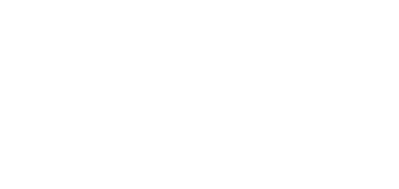 Iris Automation