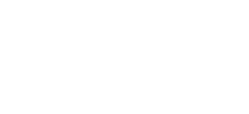 Fin