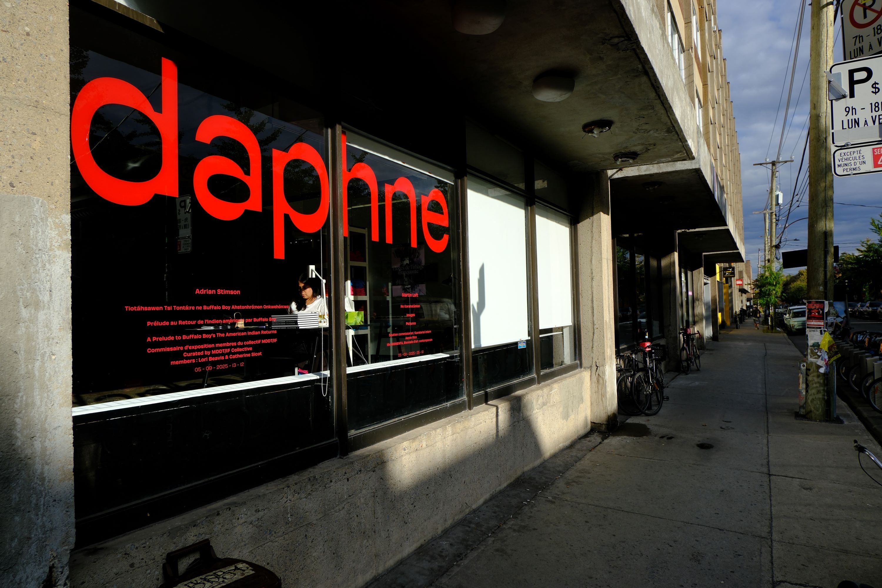 daphne