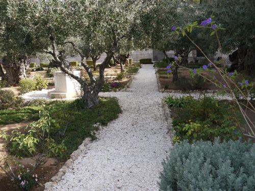 12 DAY ISRAEL MESSIANIC ENCOUNTER 2020 39