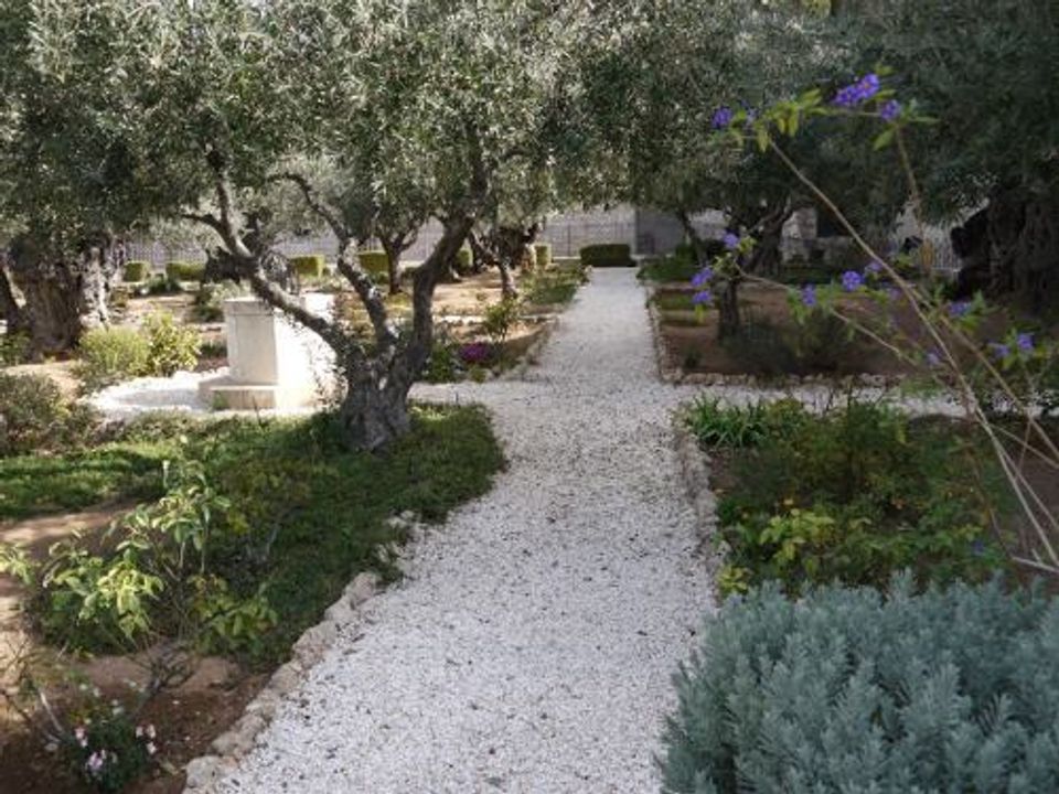 12 DAY ISRAEL MESSIANIC ENCOUNTER 2020 40