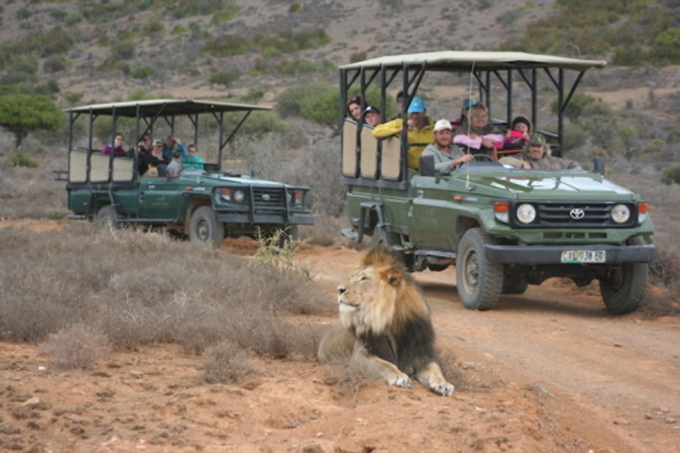 South Africa Encounter 3