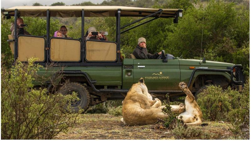 Field Guide Internship in South Africa