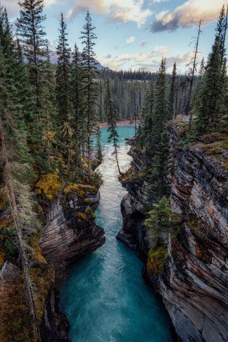 21 Days Alaska Luxury Cruise & Canadian Rockies 8