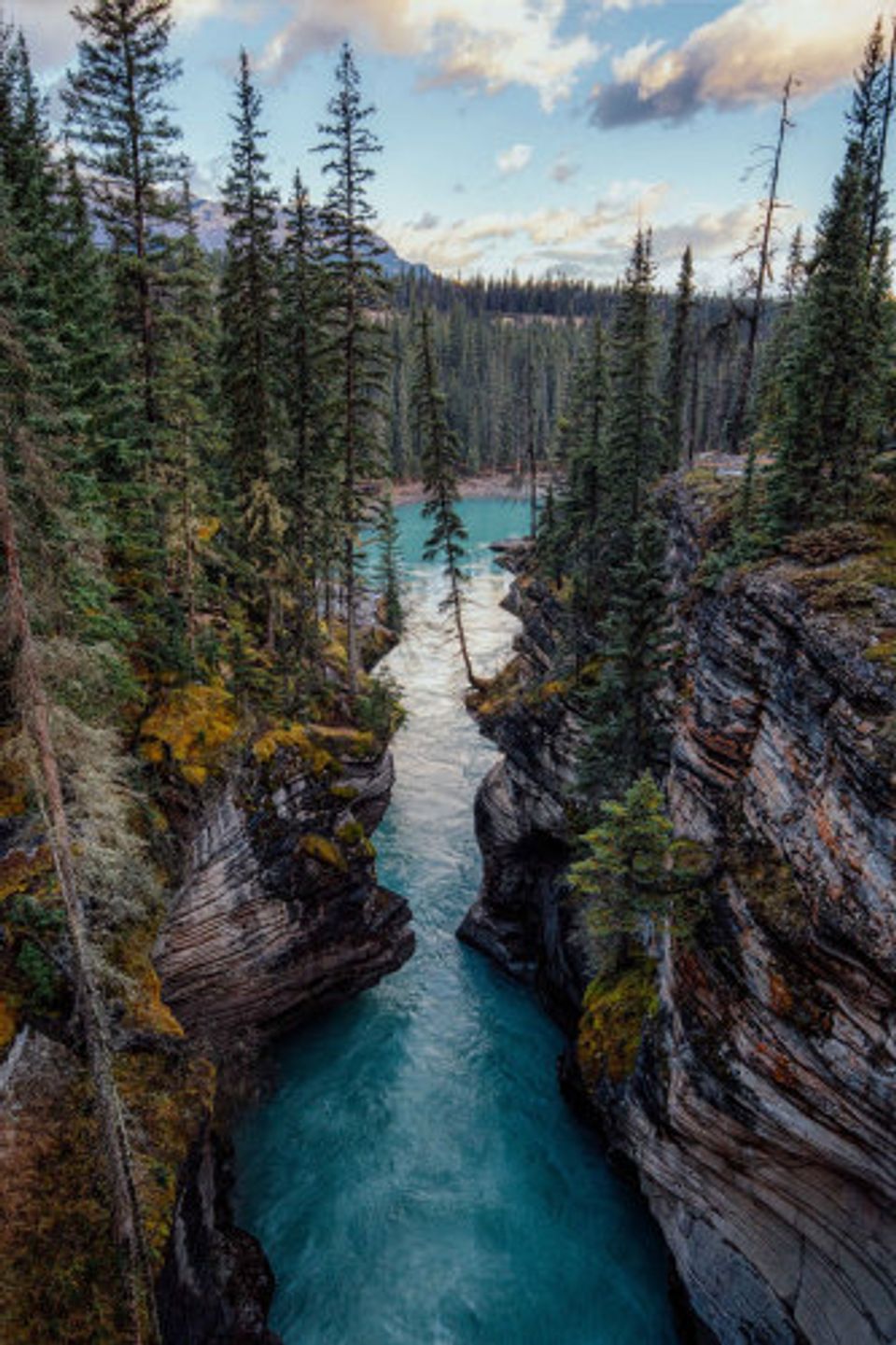 21 Days Alaska Luxury Cruise & Canadian Rockies 8