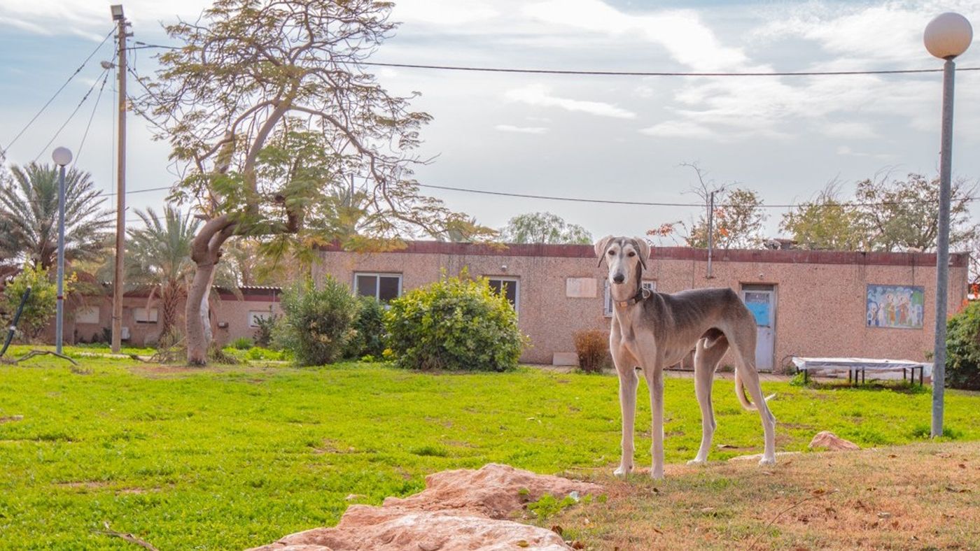 Support the Moshav