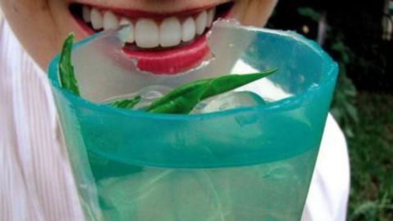 Plastic Waste Solution School Programs