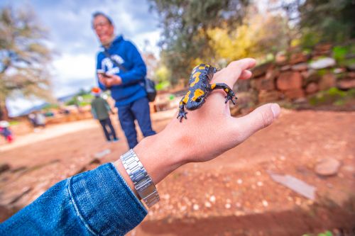 EXODUS JOURNEY : 13D10N EGYPT TO PROMISED LAND 8