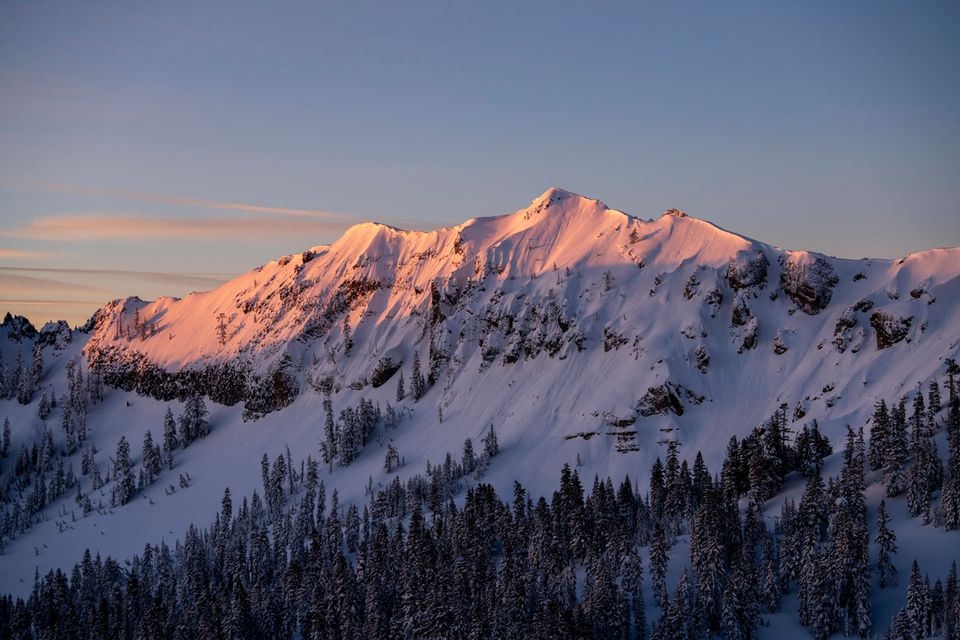 Alpenglow on a snowy Sierra peak above forested ridges