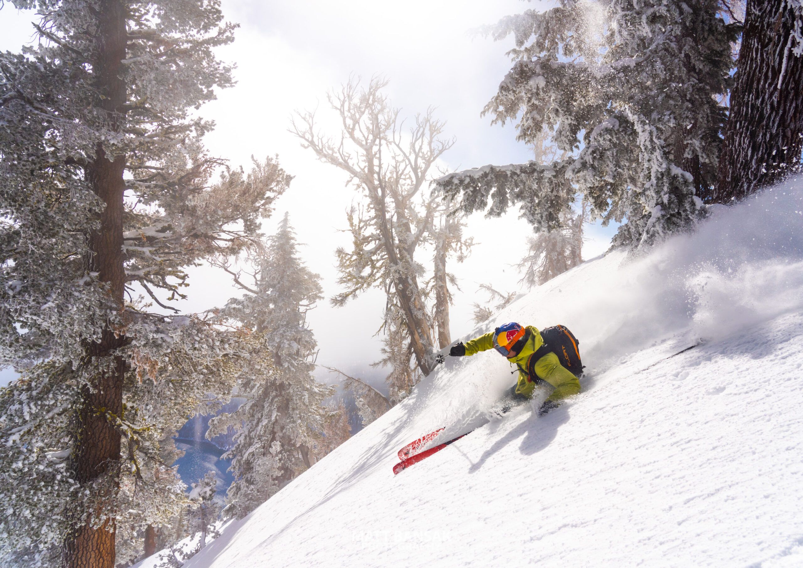 Skier carving through sunlit powder in an old-growth forest
