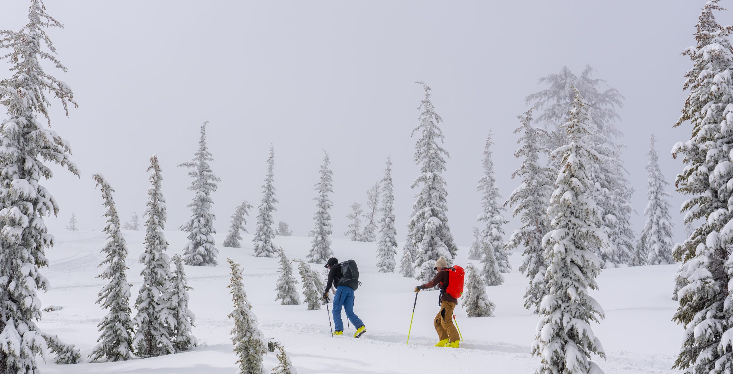 Two ski tourers skinning through rime-covered trees in falling snow