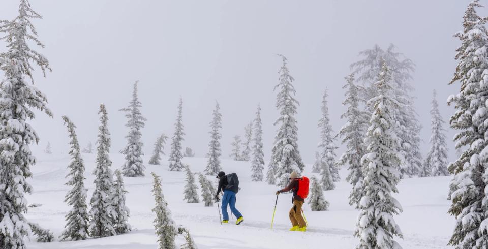 Two ski tourers skinning through rime-covered trees in falling snow