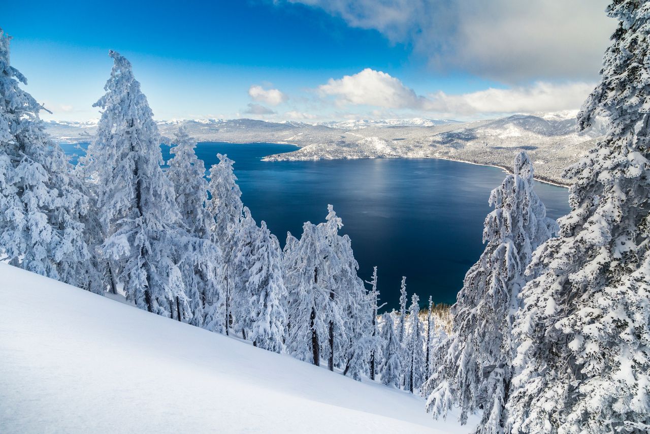 Snow-covered trees above Lake Tahoe on a bluebird winter day