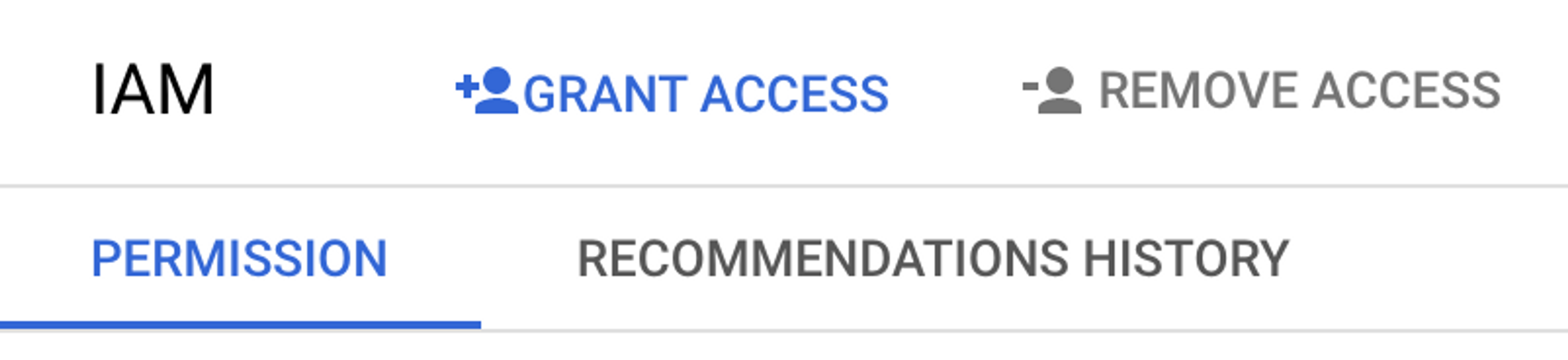 A screenshot showing the "Grant access" tab selected within the "IAM" section.