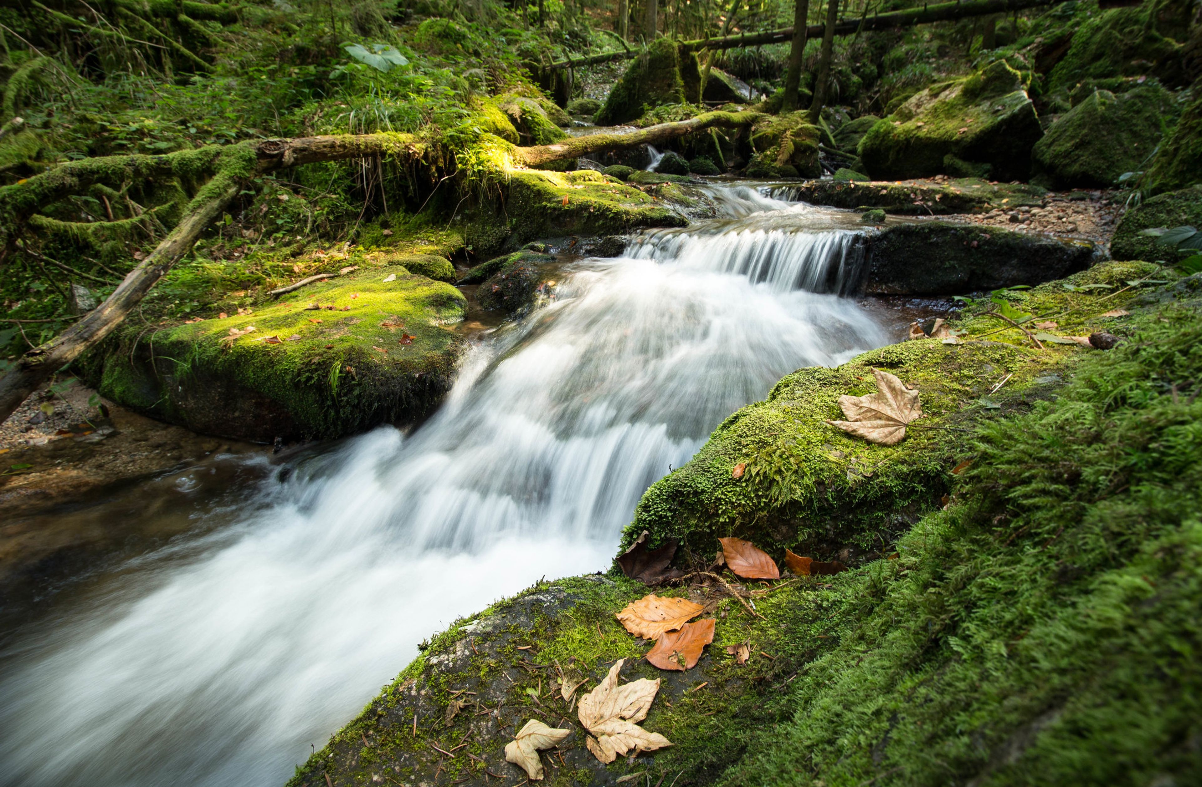 Stateful Stream Processing with Kafka and Go