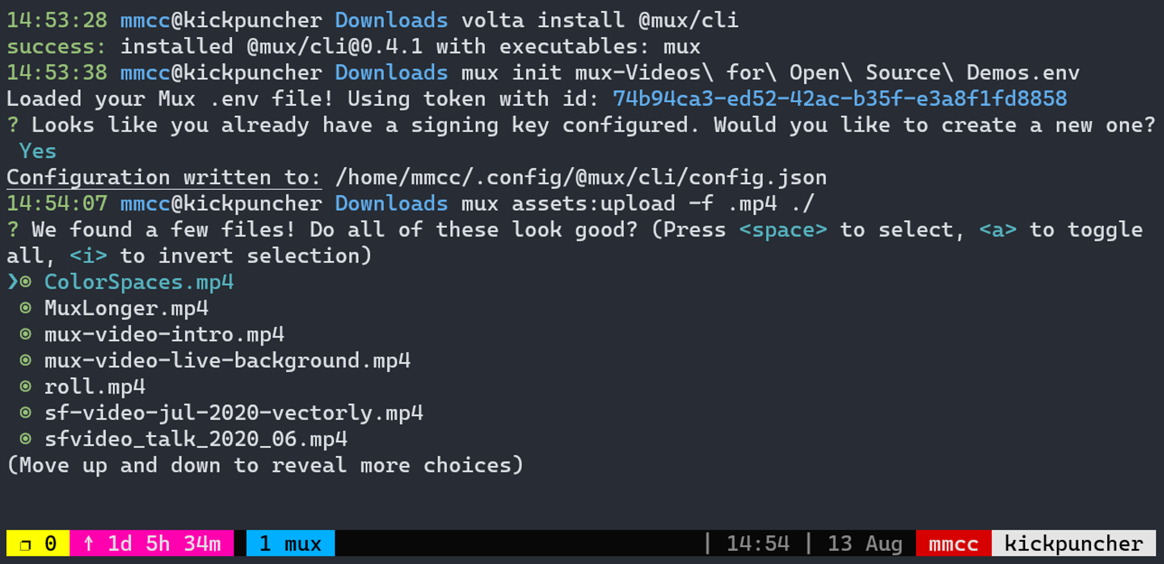 A screenshot of a terminal using the CLI