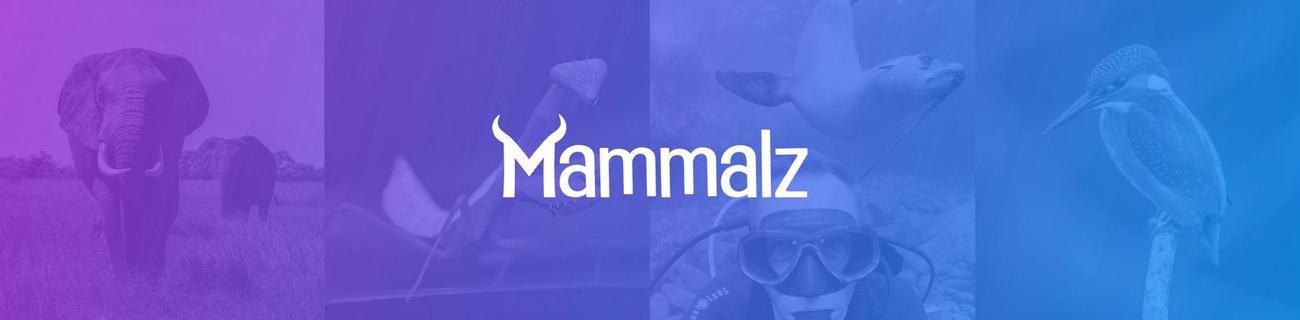 banner for Mammalz