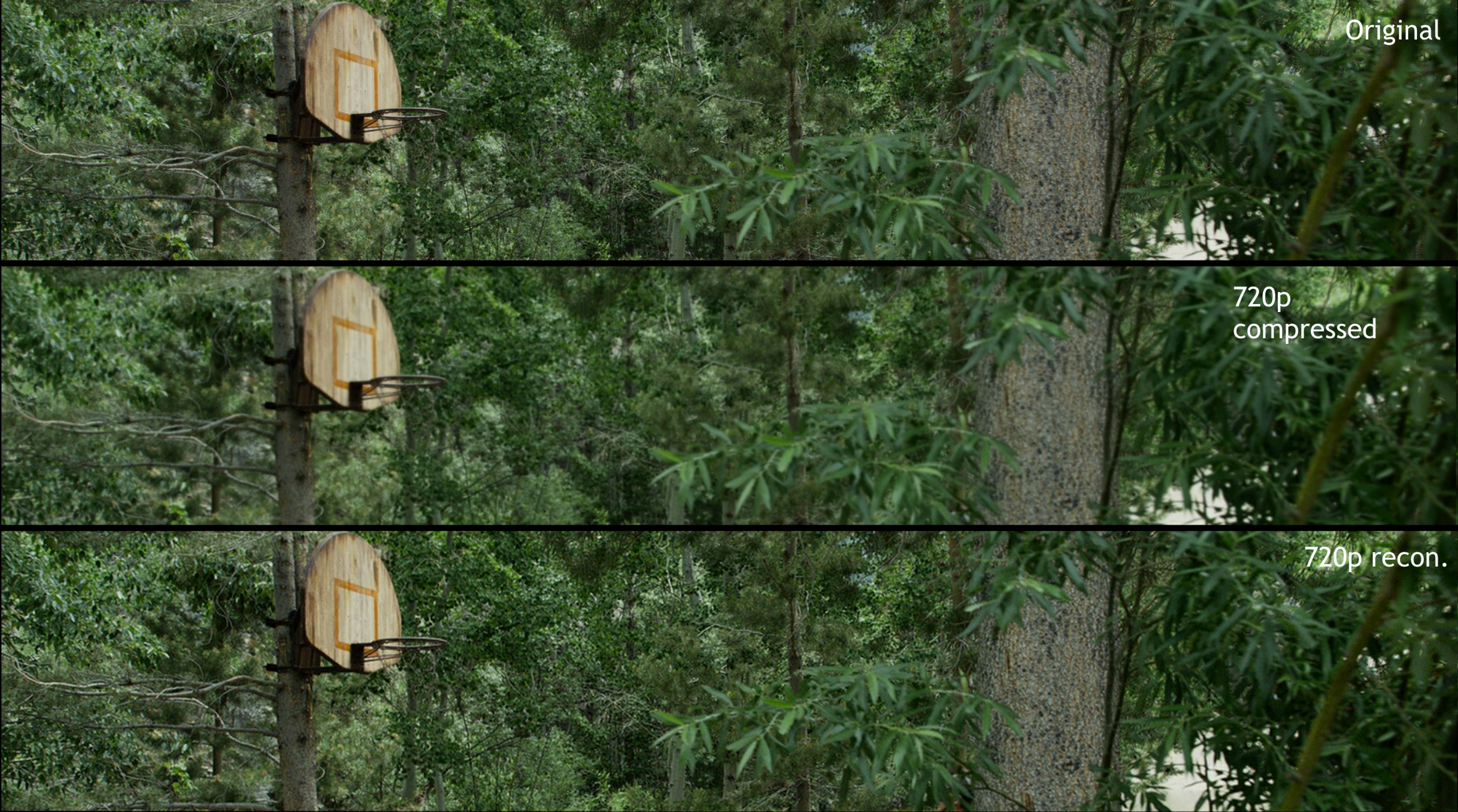 Image showing a raw and reconstructed frames in a video