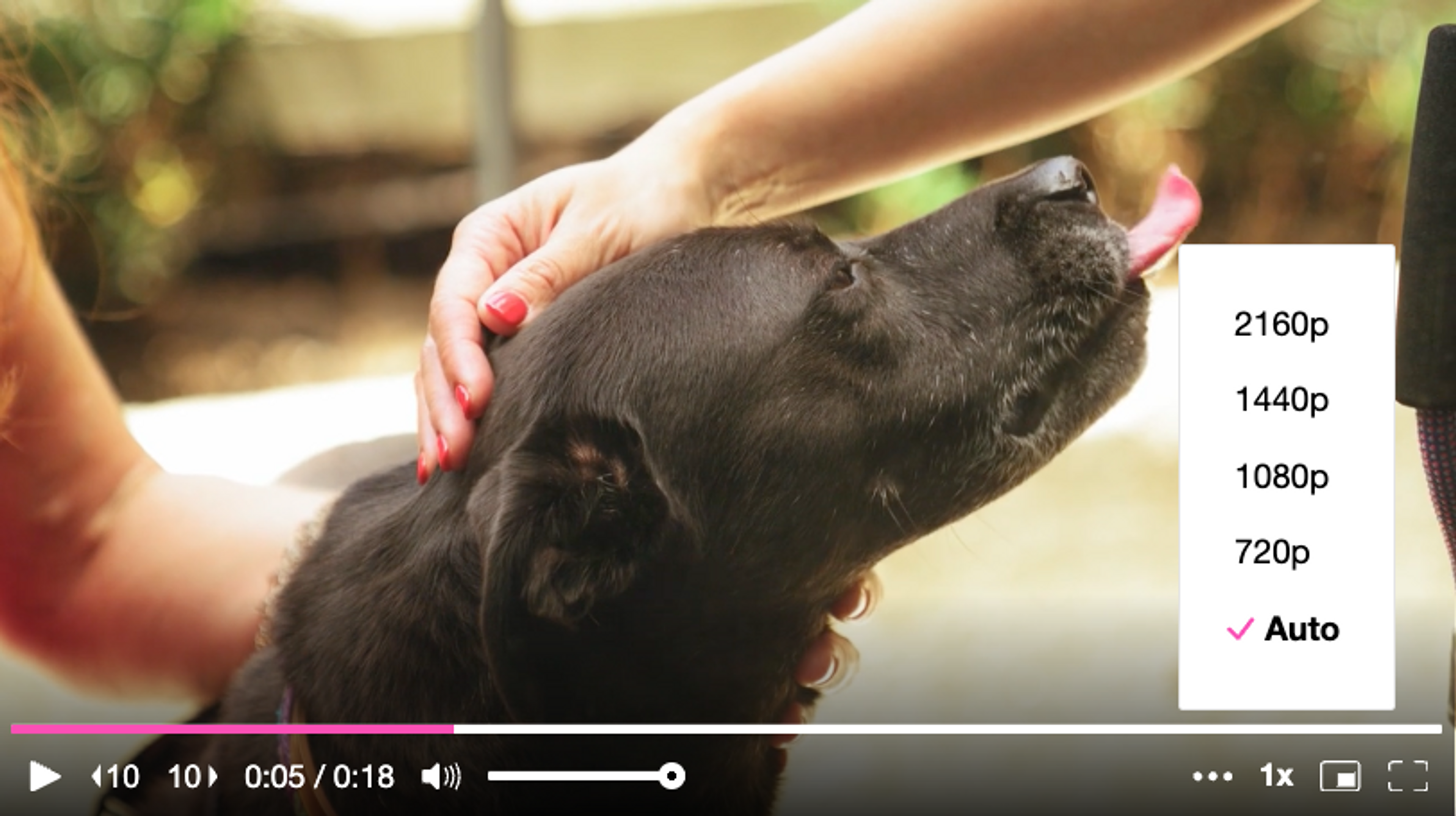 A video player showing a dog, and a filtered quality selector.