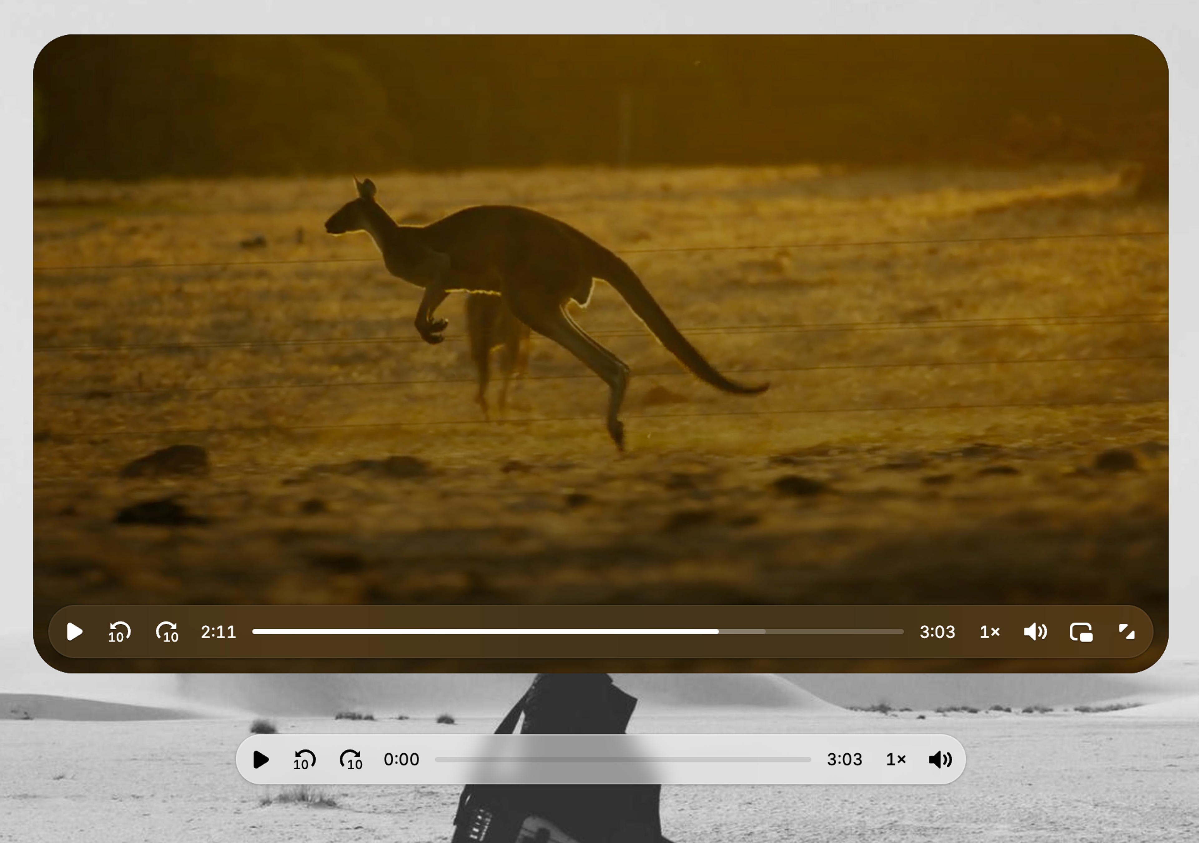 Video.js v10 default skin adapting to warm-toned video content, shown with a kangaroo in a golden field.