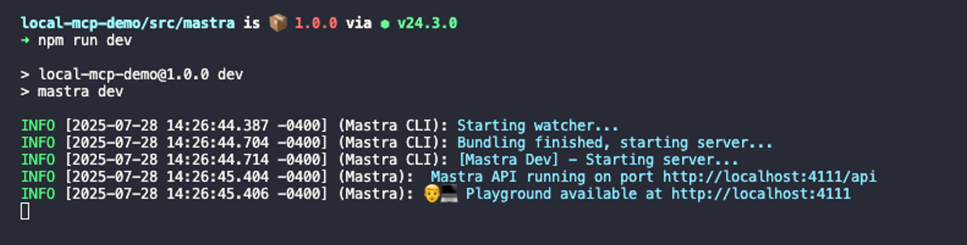 The output of running npm run dev