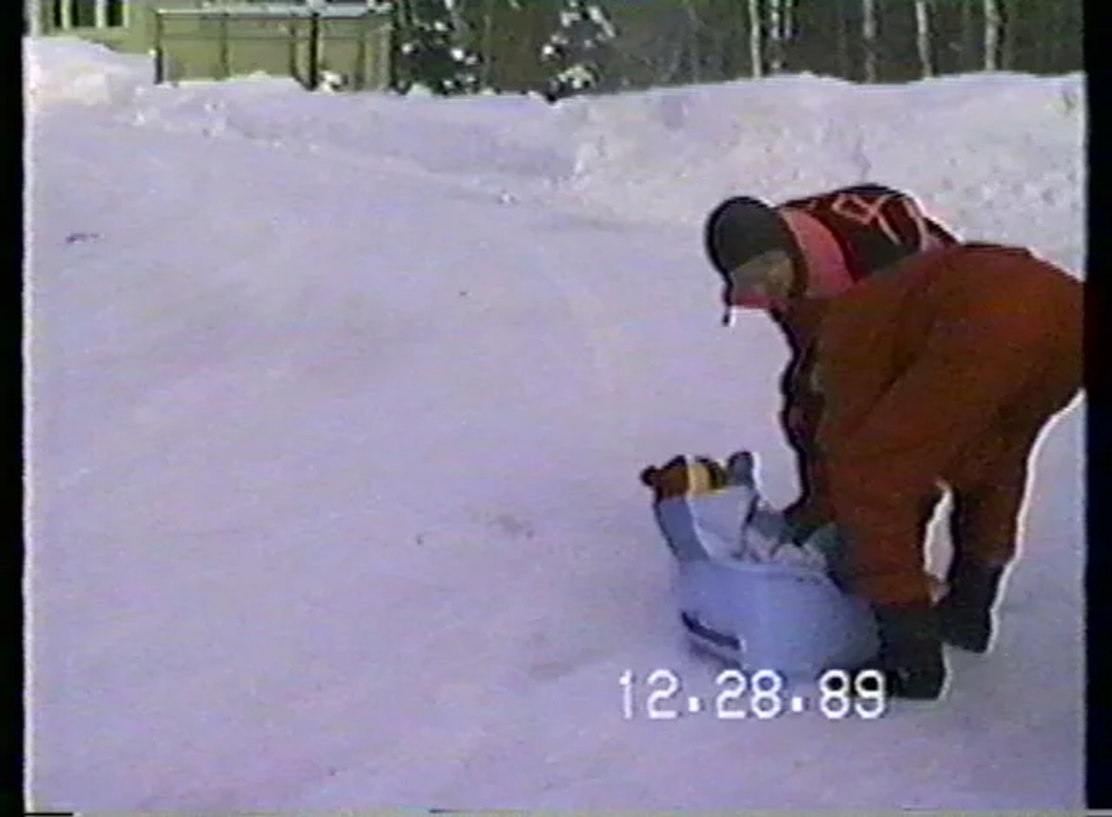 baby in a sled in the snow