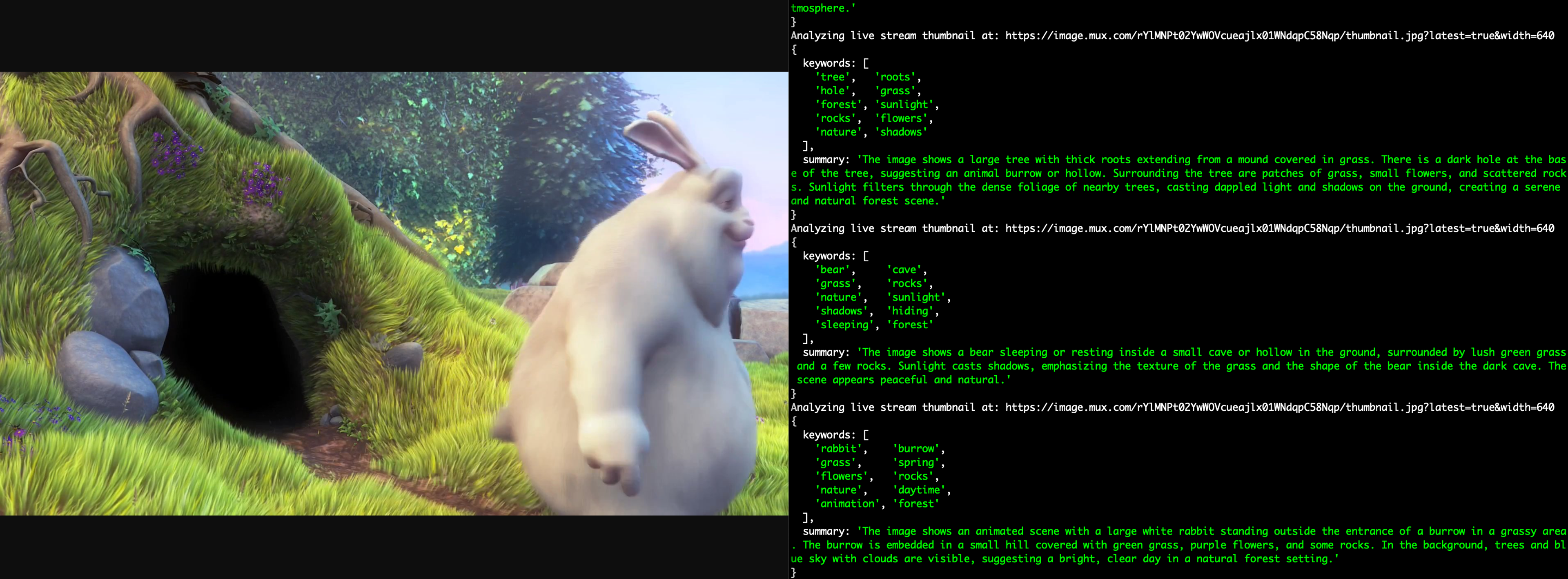 A screenshot of "Big Buck Bunny" on the left, and a terminal summarising the video frame on the right.