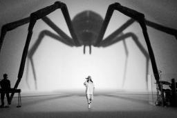 undefined case study