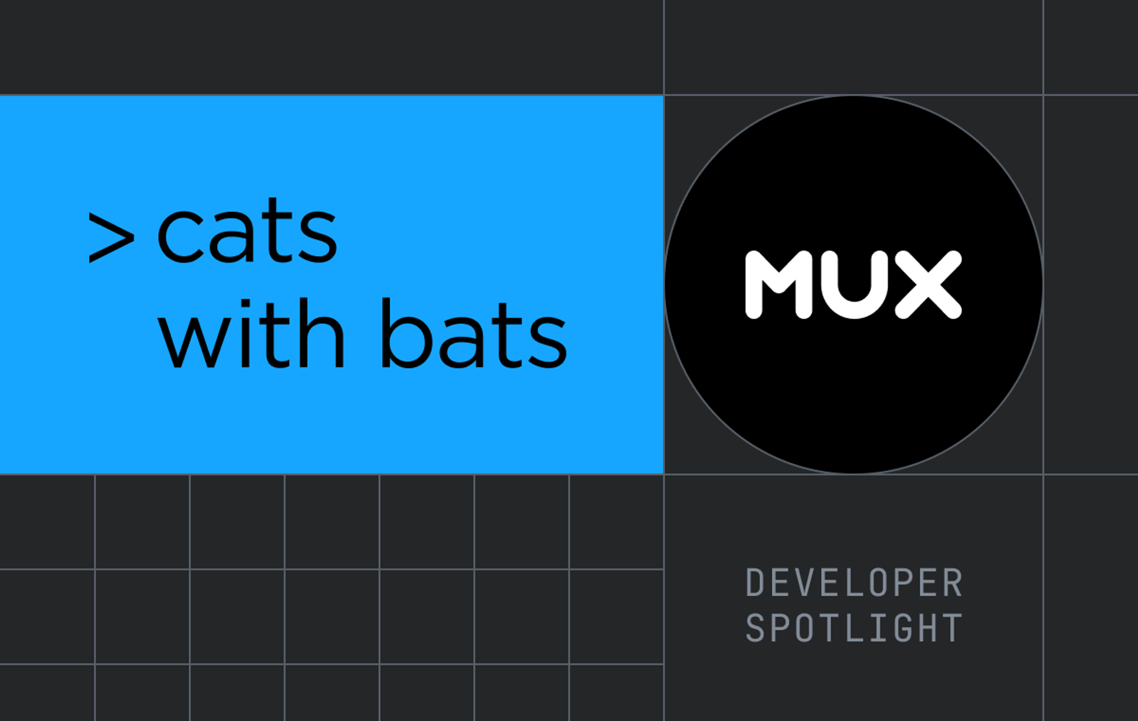 Cats with Bats developer spotlight