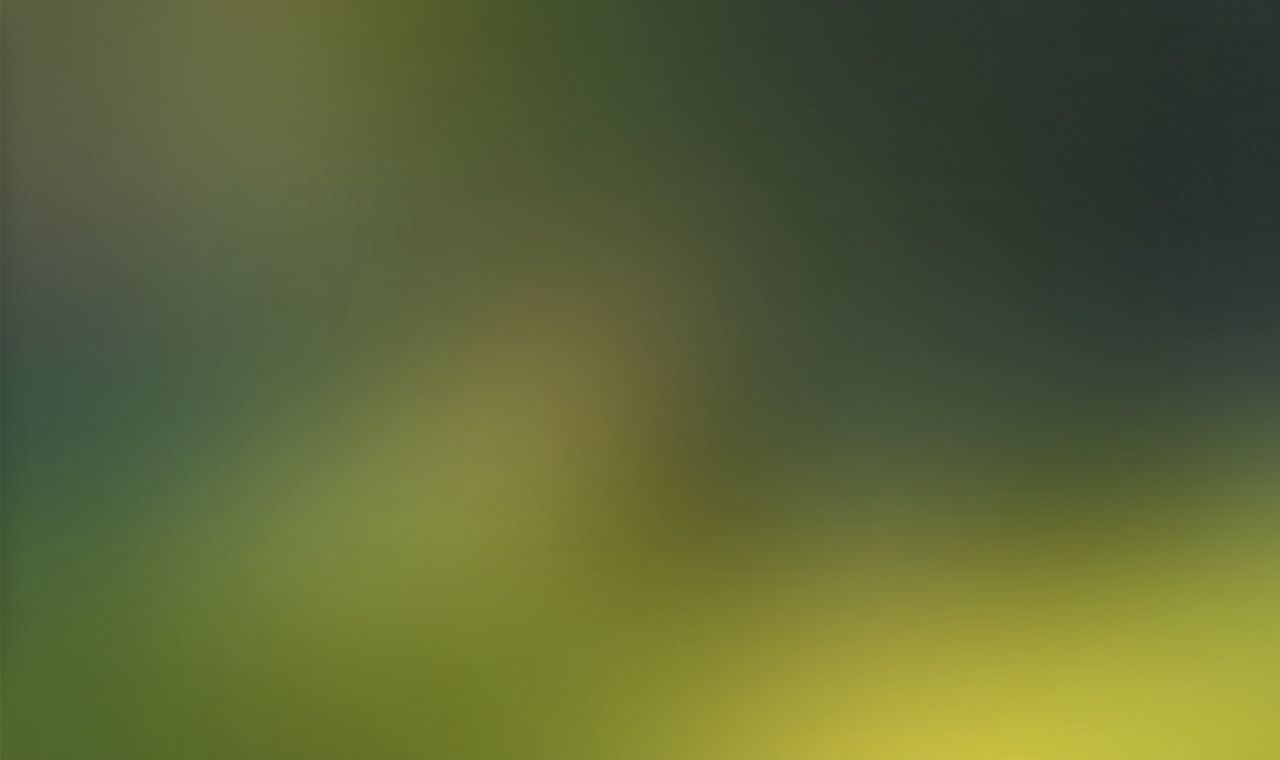 The blurry image with a blur filter