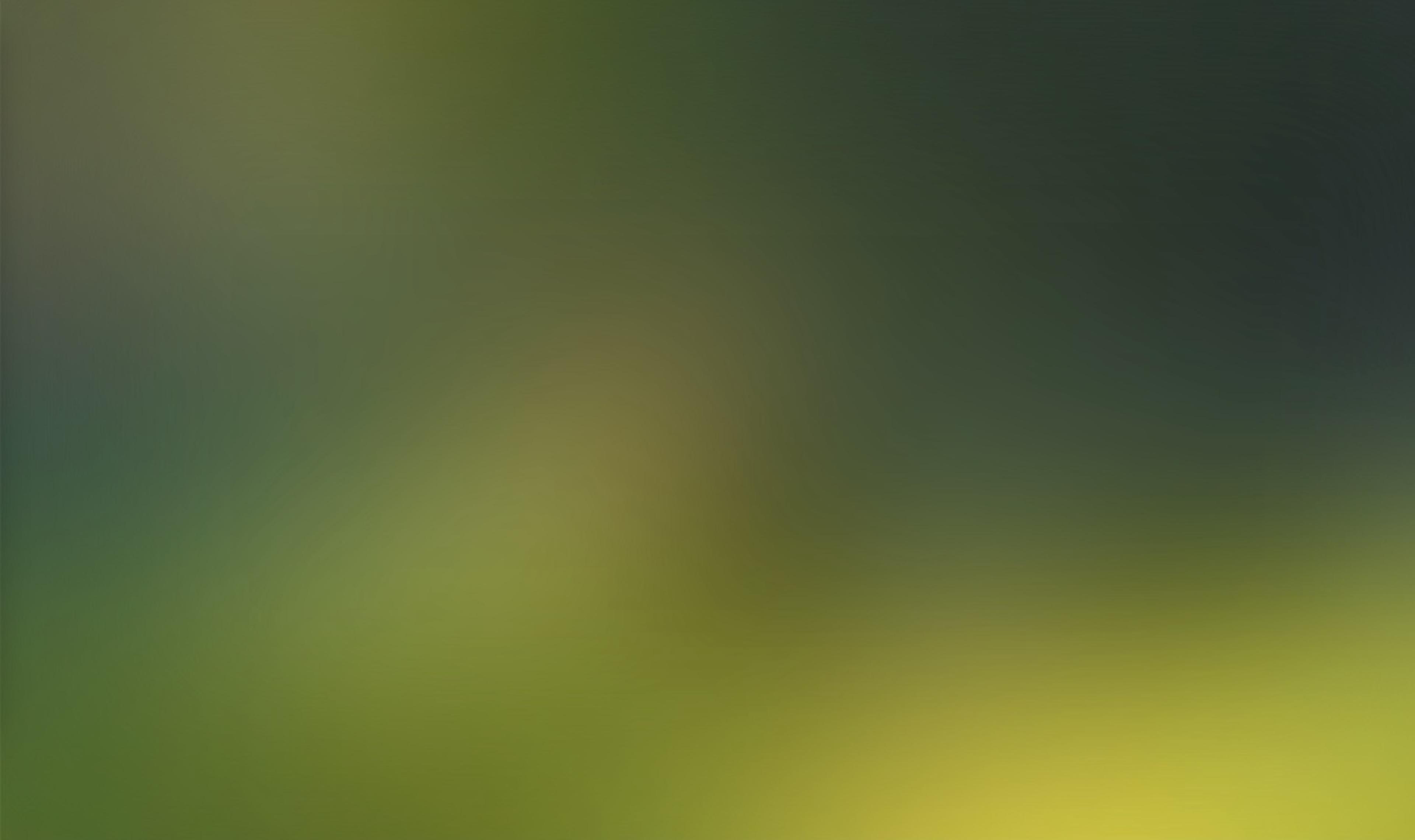 The blurry image with a blur filter