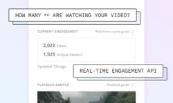Image of Real Time View and Viewer Counts from Real Time Engagement API.  See how many people are watching your video.  