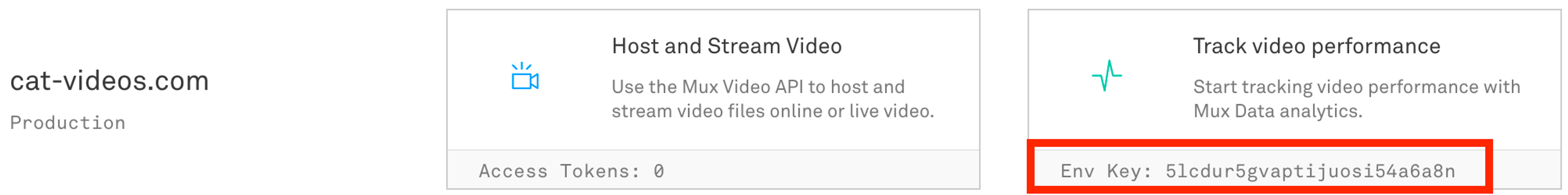 Mux Data env key