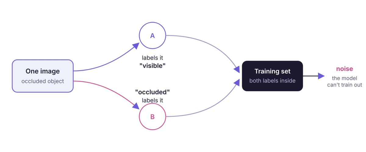 One image, two annotators, two labels, both poured into the training set as noise the model cannot train out.