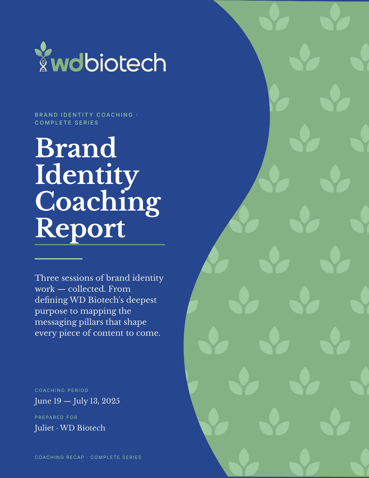 Brand Identity Coaching Report — cover